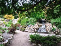 Giardino Botanico di Dublino