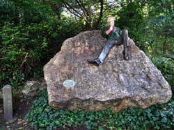 Merrion Square, Oscar Wilde